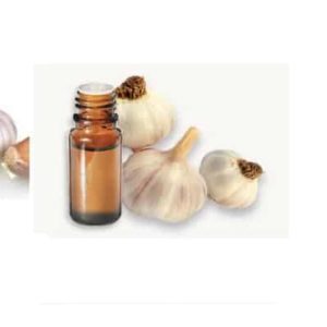 Ail Huile Essentielle Protecteur Puissant Pour l'Organisme