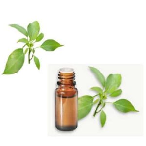 Huile essentielle de Ravintsara (Ravintsare) BIO